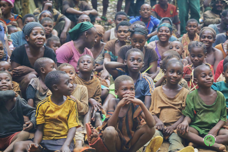Cameroon Forest
